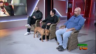 Cani, Gatti & Compagnia: Il pitbull non è un criminale  23.11.2019