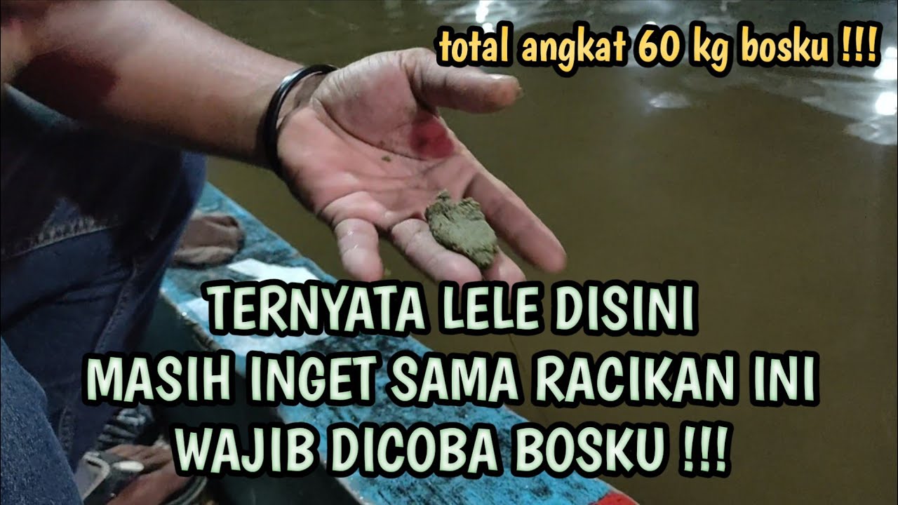 SADIS !!! NETER SAMPE 60 KG UMPAN PELET 781 GALATAMA LELE