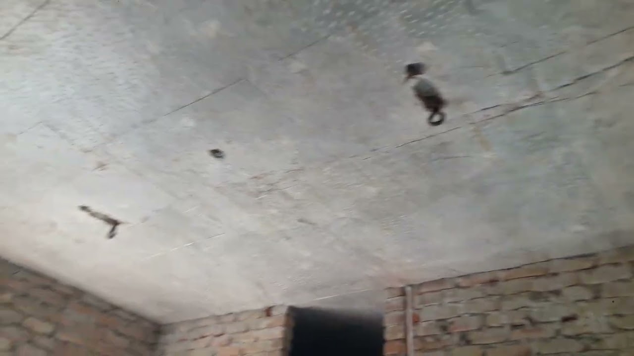 ▶️ house wiring!! Electrical Wall piping house wiring feb 26 2026