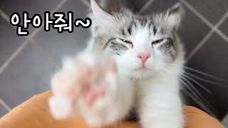 안아줘~ | 자기가 아기라고 생각하나🤣 | 귀여우면 구독하라구용!🙏🏻