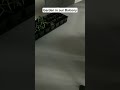 Garden in our balcony #asmr #garden #balconygarden