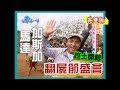 【馬達加斯加/汶萊】翻屍節之謎 / 汶萊回教婚禮｜《世界第一等》209集_小馬完整版