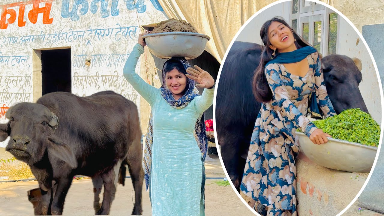 एक तो काम इतना ज़्यादा ऊपर से भैंसों ने मार डाला 😢 #desilifestyle 