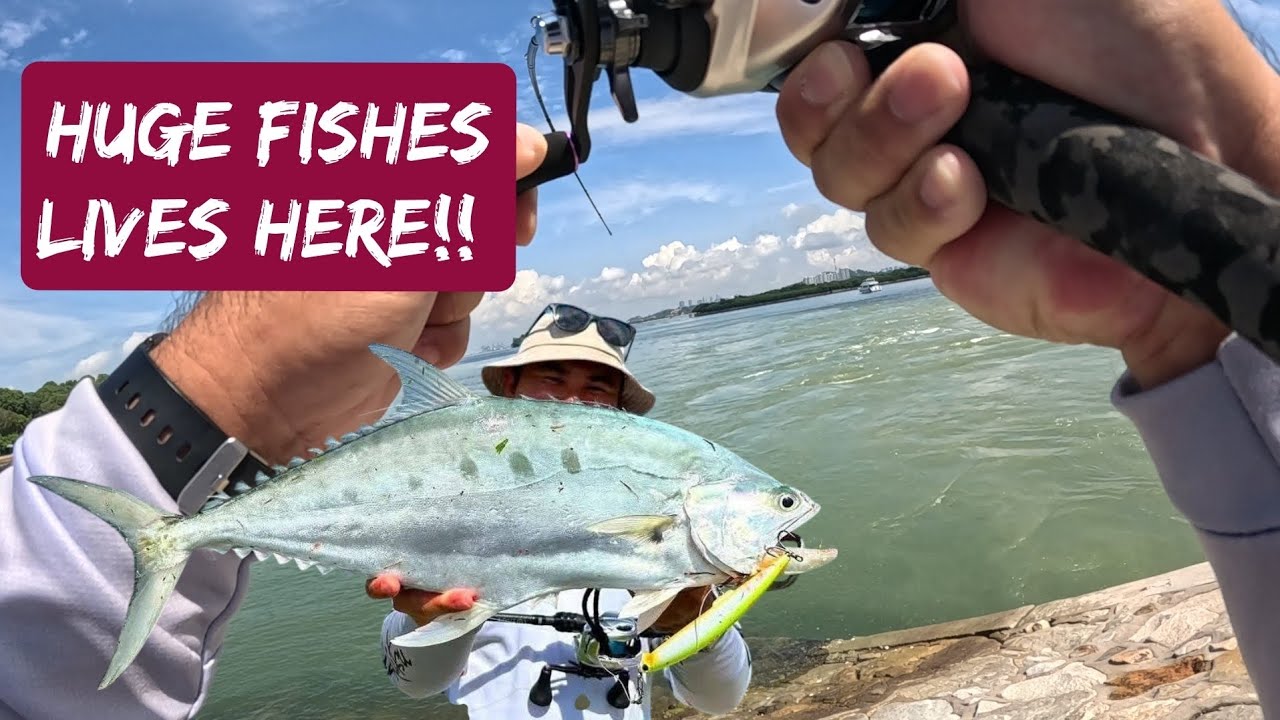 EP15: Дамба острова Сент-Джонс: береговая рыбалка в Сингапуре. Экшн для ловли ставриды!!!