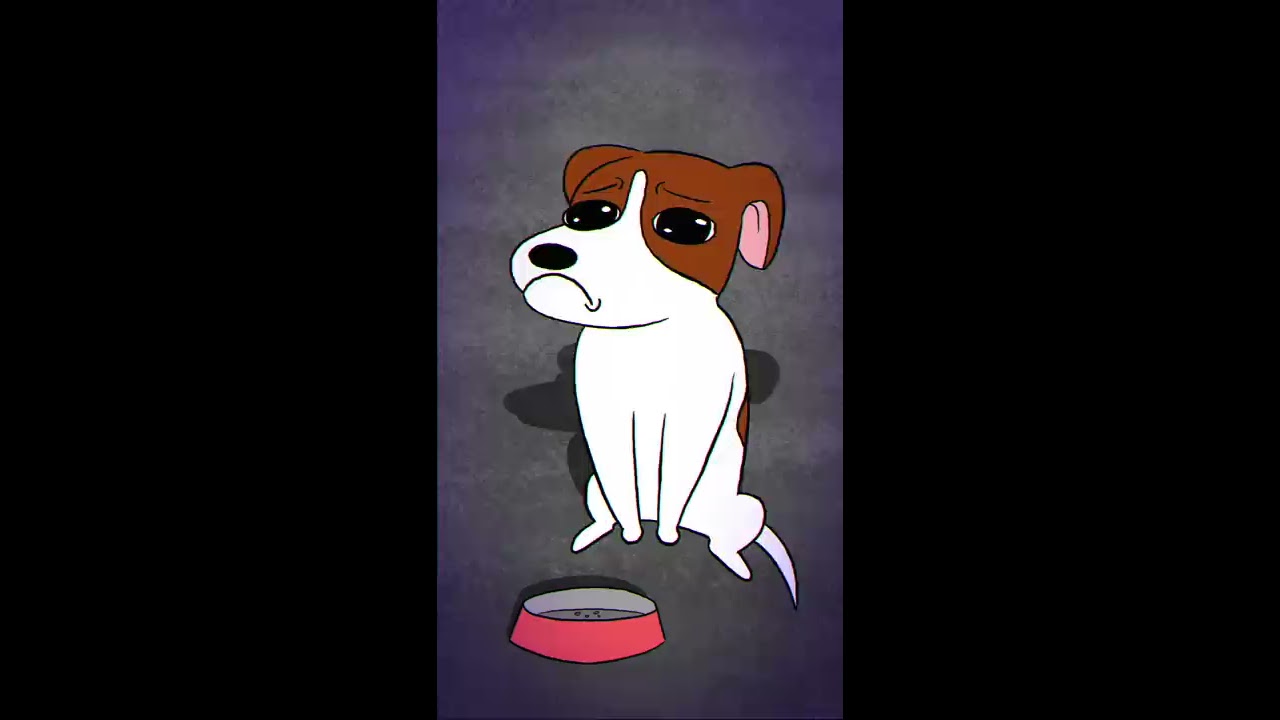 A Sad Cat And Dog Song Tootymcnooty Shorts
