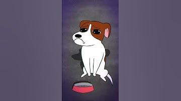 Thumbnail of A Sad Cat and Dog song | tootymcnooty #shorts