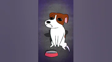 A Sad Cat And Dog Song Tootymcnooty Shorts 