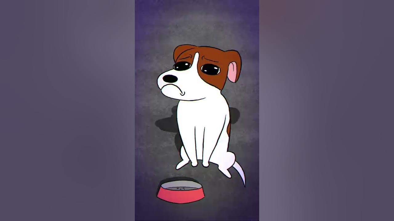 A Sad Cat and Dog song | tootymcnooty #shorts
