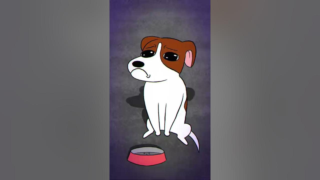 A Sad Cat and Dog song | tootymcnooty #shorts - YouTube