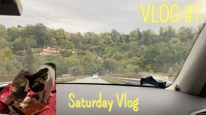 VLOG 7 | Saturday vlog
