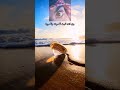 وين انت يلي ع حبك معاهدني