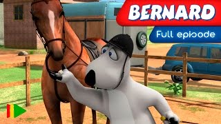 Bernard Bear - 133 - Dressage Bernard Bear - 133 - Dressage