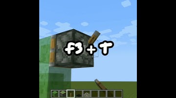 How to do the Minecraft 1.17 Carpet Duper glitch #Shorts