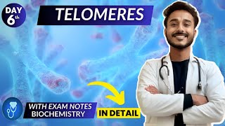 telomeres biochemistry | telomerase biochemistry | telomerase replication in eukaryotes biochemistry