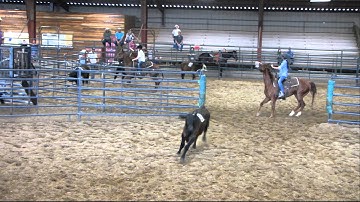 Valley View Ranch - Hannah Merada and Miss Beefmaster sorting