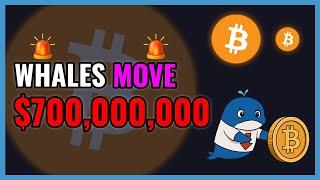 BTC Whales Just Moved $700,000,000!🚨WHALE ALERT