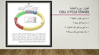 دورة الخلية 1 الطور البيني  للعاشر الاساسي