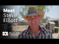Steve elliott  awardwinning trainer has a special bond with animals  muster dogs  abc australia