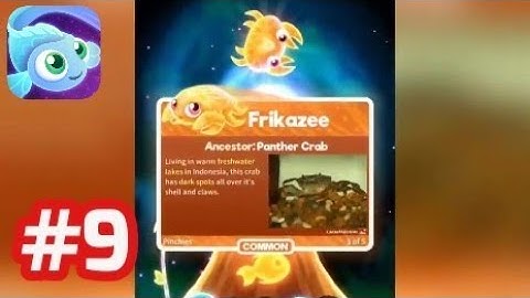 Super Starfish - Gameplay Walkthrough - Part 9 Unlock Frikazee & Leeph (iOS/Android)