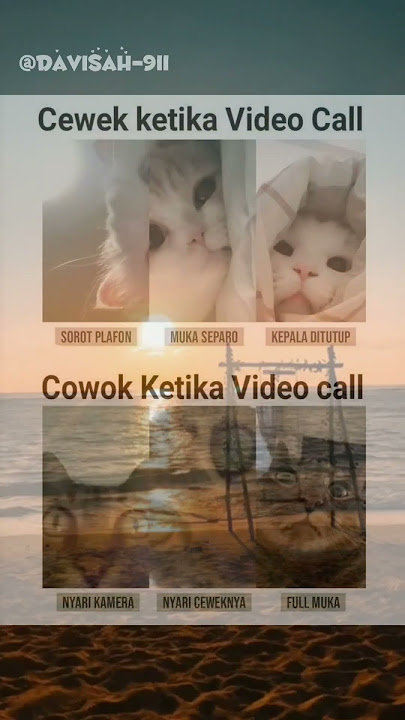 Perbedaan Cowok Dan Cewek Saat Video Call #shorts #trending #viralshorts #memes #fyp