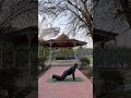 Day 58 | Surya Namaskar Challenge 🌞Almost 60 • Unbreakable Discipline | Yoga with Sanjay
