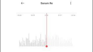 Sanam Re (Cover Without Instruments) | Shetu's Playlist |