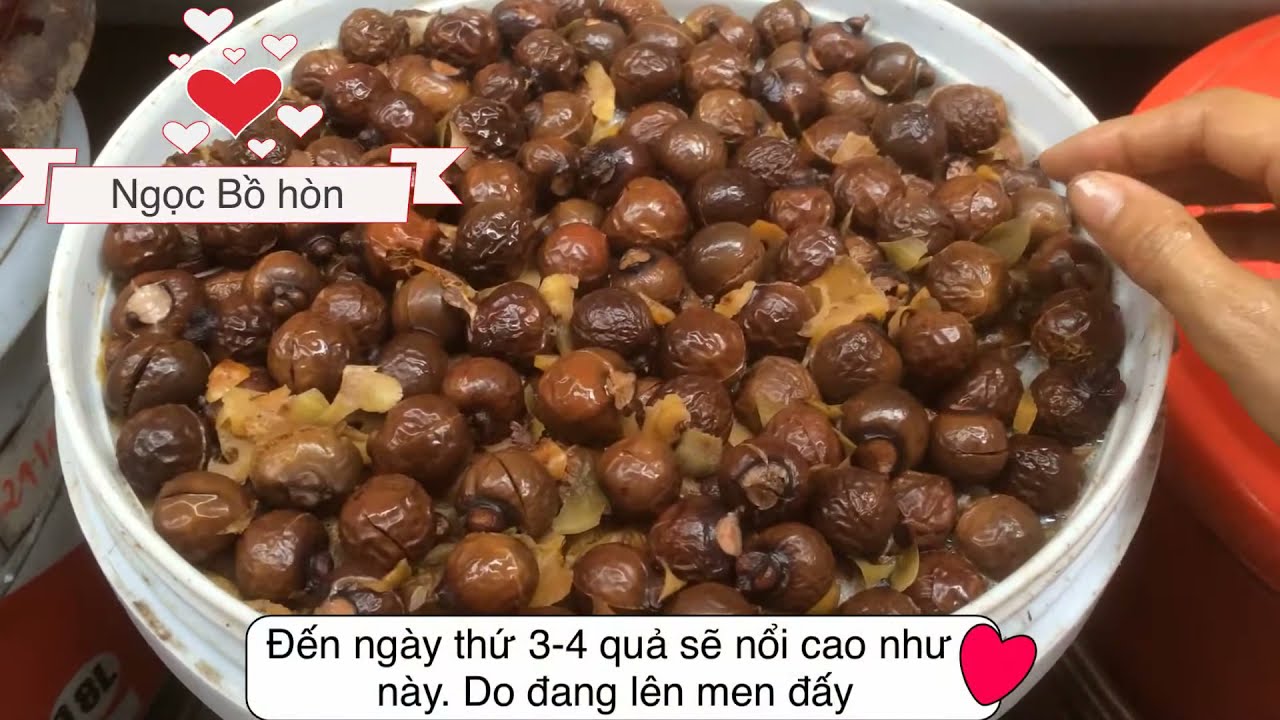 Hướng dẫn làm nước rửa bát từ bồ hòn và vỏ dứa - công thức đơn giản nhất - ứng dụng vào thực tế