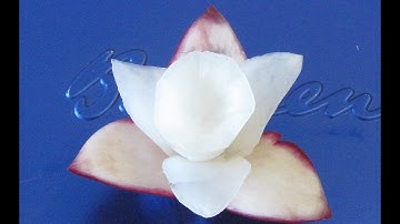 Carving Art Radish-Blumen schnitzen aus Radischen -Cách tỉa hoa từ củ Cải đỏ.