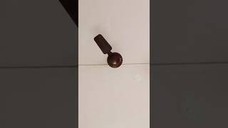 400 Mm Ceiling fan 🌟 Wings 💸#ceilingfan #shorsfeed #mechanical