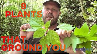 9 Easy-to-Find Edible Plants + Why Foraging Calms You Down