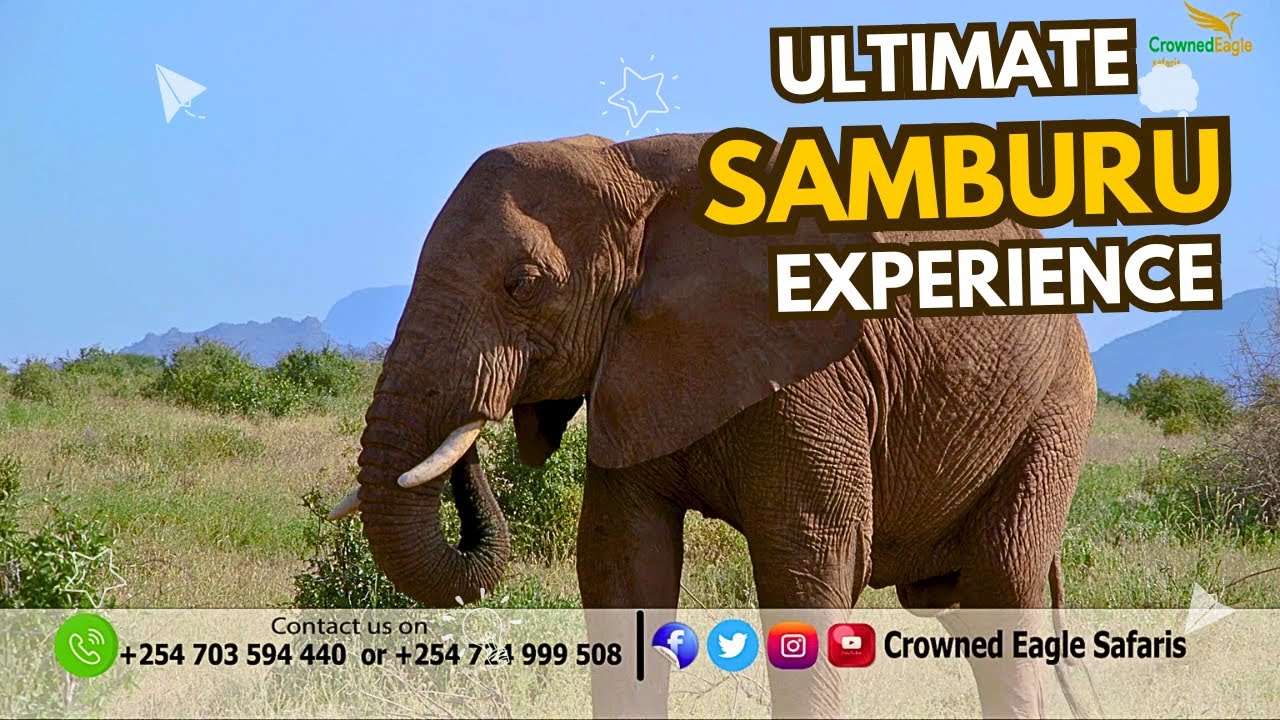 SAMBURU NATIONAL RESERVE EXPERIENCE /KENYA/SAFARI/SUNDOWNERS