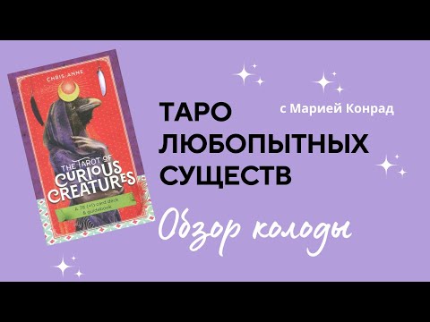 Обзор колоды Таро Любопытных  существ (The Tarot of Curious Creatures)