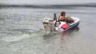 : Mini boat addictor 30hp evinrude etec 2014