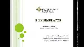Risk Simulator