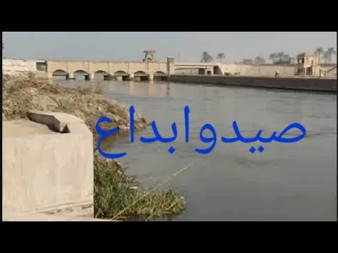 وصف طريق أفضل دور فى ترعه الإسماعيلية ومعلومات هتسمعها لأول مره