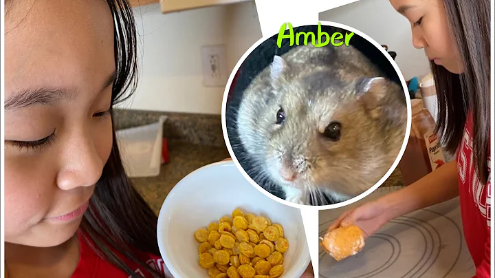 Janet made Healthy Hamster Treats!  /Janet and Kate