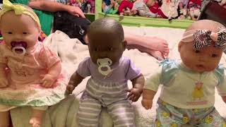 Jc toys dolls