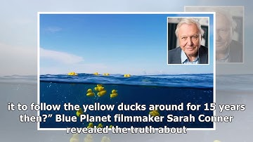 Blue planet ii execs admit crew planted rubber ducks in the sea supposedly from 1992 ship