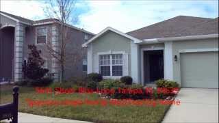5641 Sheer Bliss Loop Land O Lakes FL 34639 Dupree Lakes Real Estate Video