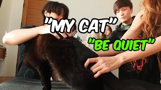Sykkuno Tries To Steal Miyoung's Lil Cat