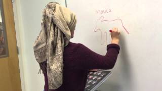 AP Calculus Final Project