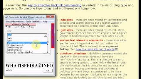 Comments Backlink Wizard Instructions: Select Blog Type to Leave Blog Comment and Backlink