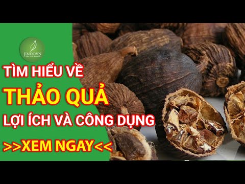 Video: Thảo Quả Thực