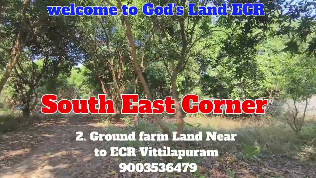 (🆔:464)2. Ground ECR farm Land 