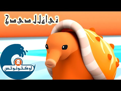 فيديو: مما هو مصنوع من Baldachin؟