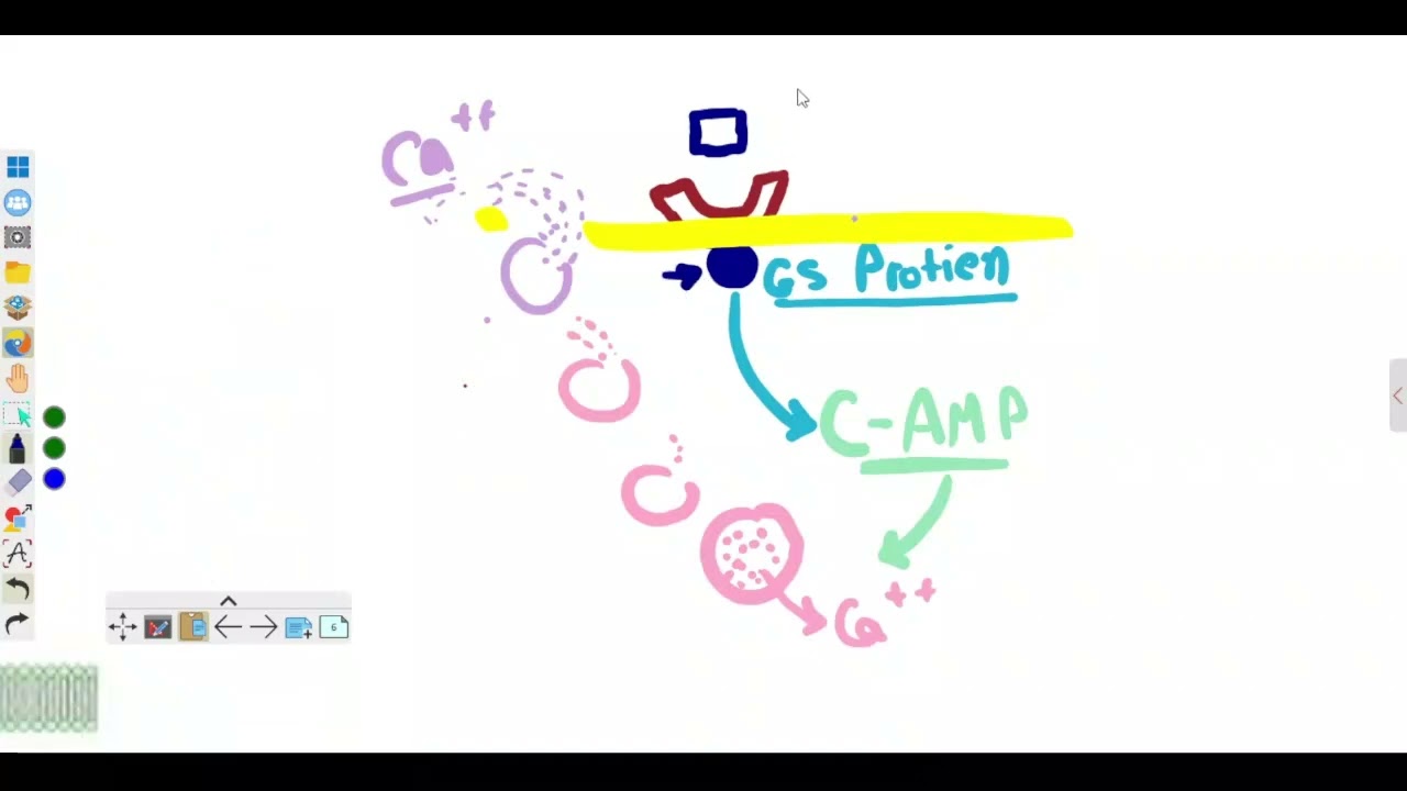 (6) drugs affecting bone mineralization