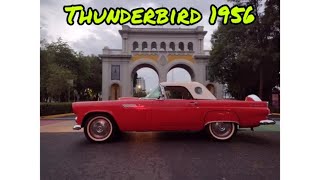 Thunderbird 1956 Un Clásico De Los Cincuentas