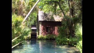 Depression Quest Ost