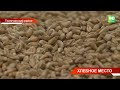 В Татарстане открыли новый семенной завод по производству, очистке и переработке зерна