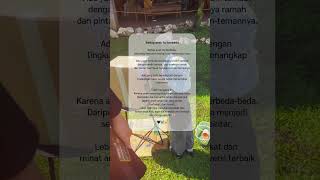 Download Lagu Biarkan dia tumbuh dengan caranya sendiri 🤍 #baby #fyp MP3